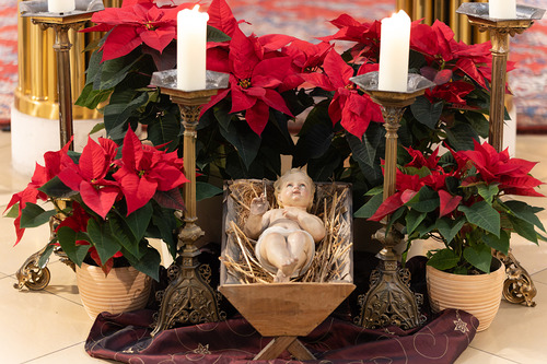 Erzdiözese Wien/ Schönlaub