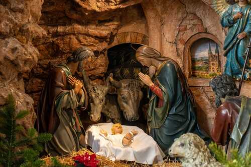 Stephan Schönlaub - Erzdiözese Wien