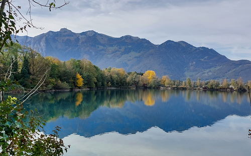 Baggersee Brederis 2021